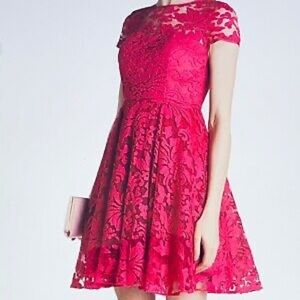 Ted Baker Caree Dress Fuschia Lace Size 8